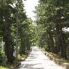 名古屋をとりまく歴史街道