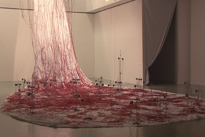 塩田千春の作品. 白い布の上を赤い液体の入ったチューブが広がっている