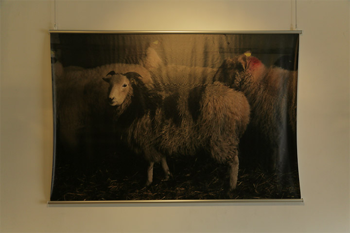 増山士郎《毛を刈った羊のために、その羊の羊毛でセーターを編む》ARTISANビル1階内壁 B日程(9月20日～10月27日)