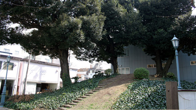 現在の風景 那古野山公園