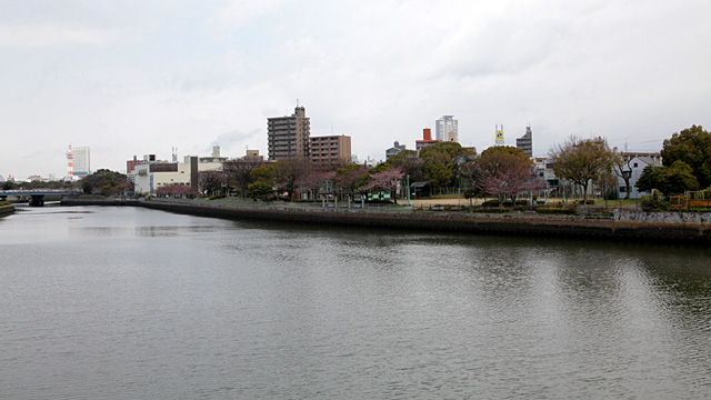 大瀬子公園(魚市場跡)