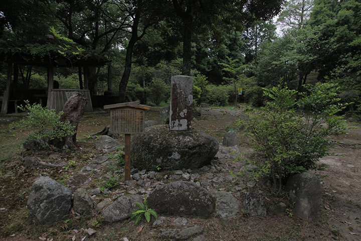 　 松尾芭蕉の祖福地氏の城跡に芭蕉公園が造られた
