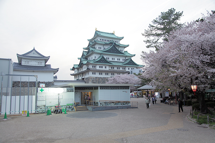 夕暮れ時の桜と名古屋城