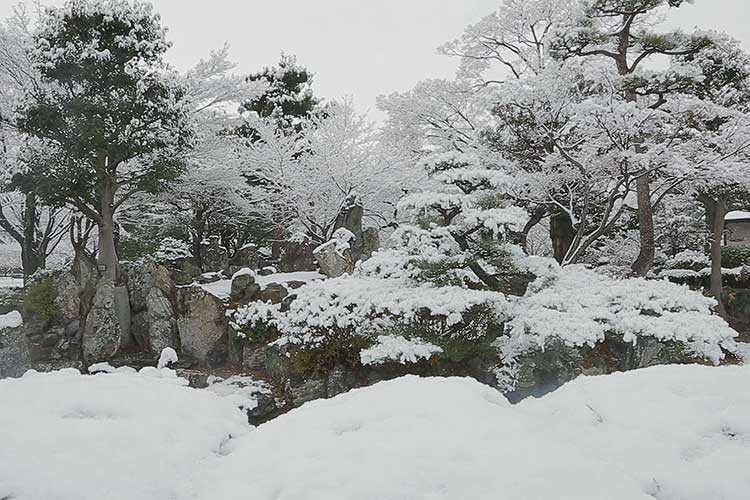 名勝 二之丸庭園の雪景色
