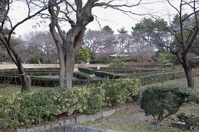 Nagoya Castle