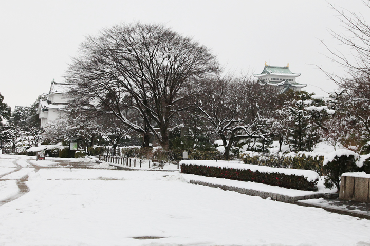 雪の名古屋城（撮影：2011年1月17日）