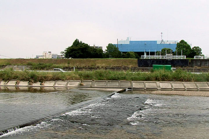 矢田川の川の下を水が流れる