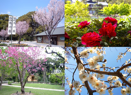 春の徳川園