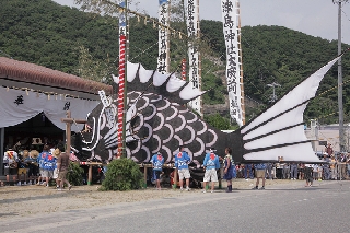 津島神社の祭礼の4匹の鯛は御仮屋前の鯛止めに鯛を勢いよくぶつけて奉納します