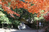 秋の岩屋堂
