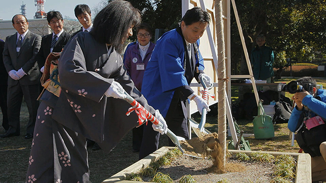 義直桜に土入れをする河村たかし名古屋市長と名古屋城文化フォーラム夢童由里子代表