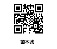 本丸御殿復元図
