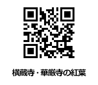 本丸御殿復元図