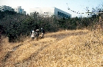 1994年、有志による八竜湿地保全活動がスタート