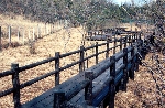 湿地保全に向けた名古屋市による木道整備