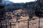 フェンスと木道が設置された（1996年）