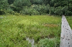 上段にある八竜湿地.草の間に水たまりがみえる