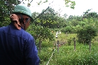 植生調査にむけて湿地に杭を入れひもを結わえていく（2009年）
