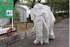 熱田神宮公園フェスティバルゾーン前での白いゾウのパフォーマンス