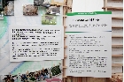 岐阜県山県市の里山を紹介する「ふるさと元気プロジェクト」の展示