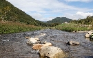 八盛山から流れる木曽川（木祖村）