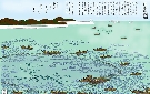 江戸時代の豊浜近辺の鰯漁を描いた尾張名所図会 内海浦鰯網（イメージ着色）